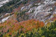 04 Crawford Notch 7272